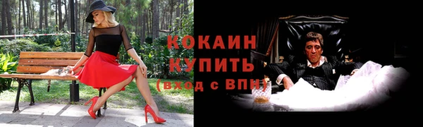 прущие грибы Ладушкин