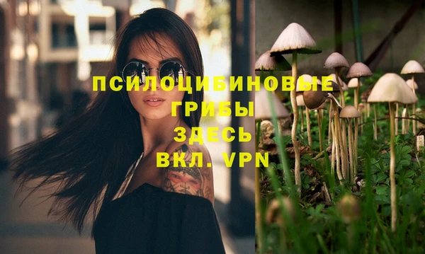 стаф Лабытнанги