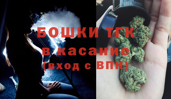 прущие грибы Ладушкин