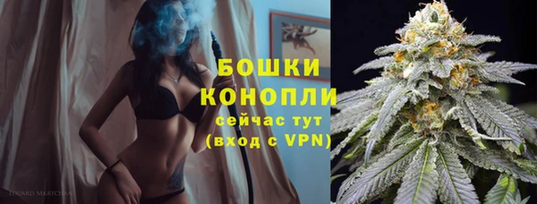PSILOCYBIN Кукмор