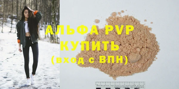 прущие грибы Ладушкин