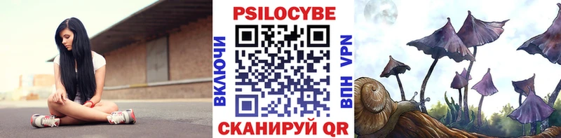 наркота Луга Псилоцибиновые грибы прущие грибы